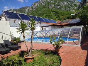 a house with a swimming pool with palm trees in a yard at Pensiunea La Dolce Vita in Băile Herculane