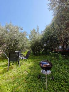 a grill and chairs sitting in the grass at Apartmani Radovic in Bijela