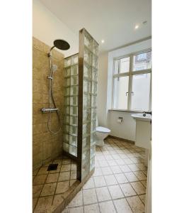 y baño con ducha y aseo. en ApartmentInCopenhagen Apartment 1556, en Copenhague
