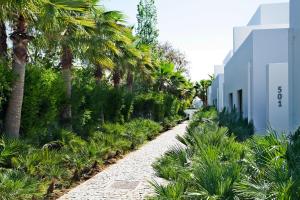 a pathway lined with palm trees next to a building at Sao Rafael Holidays in Albufeira