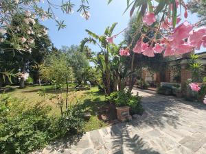 einen Garten mit einem Baum und rosa Blumen in der Unterkunft B&B Asparano in Ognina