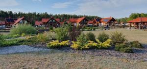 a garden in front of a group of houses at Szara Czapla in Borowy Młyn
