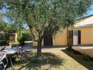 A garden outside Casa versilia