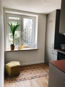 a kitchen with a window with a plant in it at Art space at Old Town in Gdańsk +6 photos