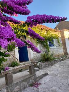 a building with purple flowers on the side of it at Villa rustica bougainvillea in Maslinica