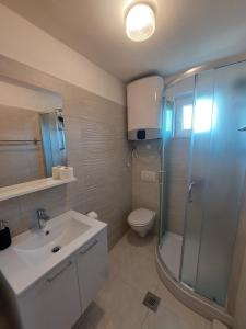 a bathroom with a shower and a sink and a toilet at Milka Apartments in Njivice +25 photos