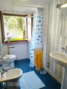 uma casa de banho com um WC, um lavatório e uma janela em La Chicca 4/6 posti letto em Capannori