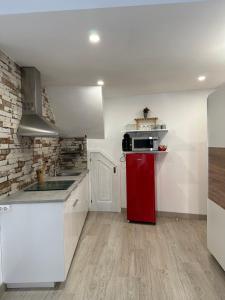 La cuisine est équipée d'un réfrigérateur rouge et d'un four micro-ondes. dans l'établissement La Casita del abuelo Javi, à Cambados