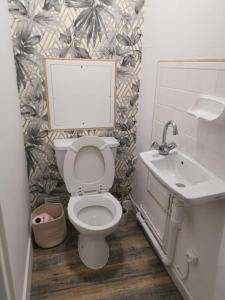 een badkamer met een toilet en een wastafel bij la Seyne-sur-Mer, tamaris residence villa massada. in La Seyne-sur-Mer