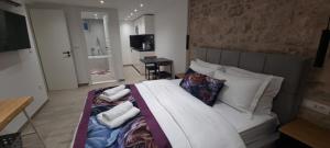 Wila properties doo Studio Christopher tesisinde bir televizyon ve/veya eğlence merkezi