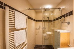 a bathroom with a shower and a toilet and a sink at City-Appartements Am Wall in Goslar +78 photos