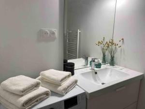 y baño con lavabo, espejo y toallas. en Studio Marseille centre-ville, en Marsella