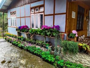 a house with flowers and plants in front of it at The Himalayan Resort in Ravangla