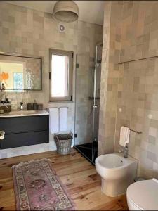 a bathroom with a toilet and a shower and a sink at Outeiro Douro House in Mártir