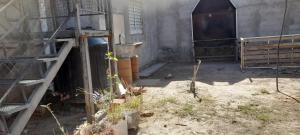 a room with a building with a ladder and plants at Neguic29 in La Rioja