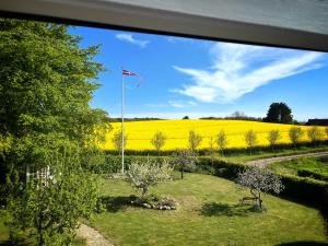 a view of a rapeseed field from a window at Maglebjerggaard Gæstgiveri in Borre