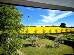 einen Blick auf ein Rapsfeld aus einem Fenster in der Unterkunft Maglebjerggaard Gæstgiveri in Borre