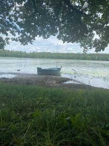 a boat sitting on the shore of a lake at Apartament Olecko Nad Jeziorem in Olecko +13 photos
