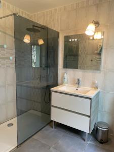 ein Bad mit einem Waschbecken und einer Dusche in der Unterkunft Gite les PELATS in Cenne-Monestiès