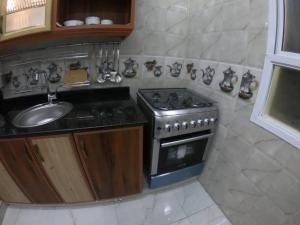 Kuchyň nebo kuchyňský kout v ubytování chalet IN