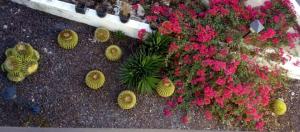 A garden outside Beautiful 2 bedroom apartment near Puerto Rico beach