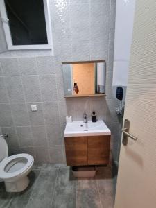 a bathroom with a toilet and a sink and a mirror at Appartement Centre ville in Chalon-sur-Saône +5 photos