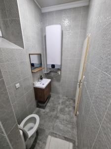 Um banheiro em Appartement Centre ville