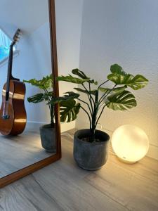 a plant sitting next to a mirror next to a guitar at Loftlejlighed i centrum in Ringkøbing