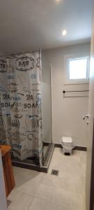 y baño con ducha y aseo. en Spartines home, en Votsi