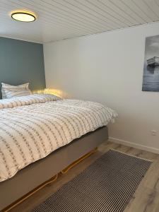 1 dormitorio con 1 cama con alfombra en Charmerende stue lejlighed i centrum en Ringkøbing