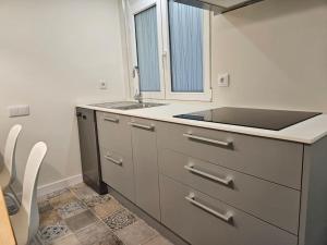 a small kitchen with a sink and a sinkessment at 1A100 Moderno y acogedor in Gijón