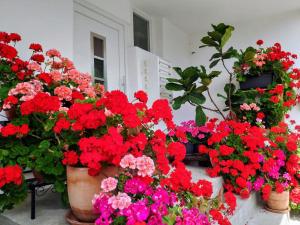 a bunch of red and pink flowers in pots at Alpendohle Apartments Innsbruck in Innsbruck