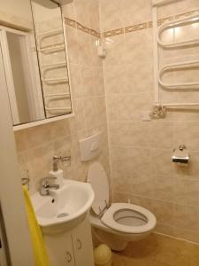 Kúpeľňa v ubytovaní Apartmány Ilona