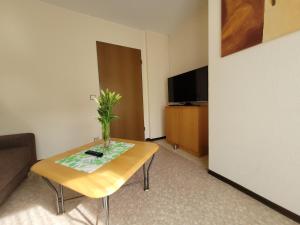 ein Wohnzimmer mit einem Tisch und einem TV in der Unterkunft Ferienwohnung Alte Schmiede in Vogtsburg