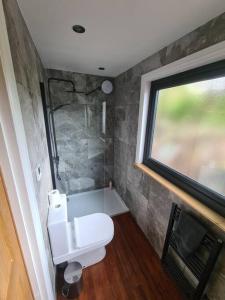a small bathroom with a toilet and a window at Borthwick Farm Cottage Pottery in Borthwick
