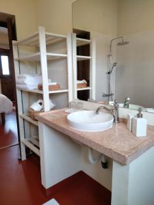 a bathroom counter with a sink and a shelf at Quinta do Passal in Arega