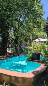 Foto dalla galleria di Villa Luxury nel Bosco a Castelbuono