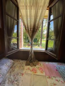 a bed in front of a window with a tree in it at Martvili Guest House OASIS in Martvili