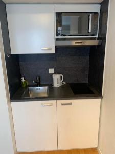 a small kitchen with a sink and a microwave at Cozy Studio Apartment Unit 11 in Center of Zurich in Zurich
