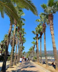 a row of palm trees on a sidewalk next to the beach at Sesin Hotel in Marmaris