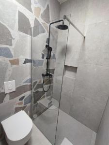 a glass shower in a bathroom with a toilet at Astramaris Apartments in Okrug Donji