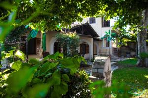 ein Haus mit grünen Pflanzen davor in der Unterkunft Platamon village house in Platamonas