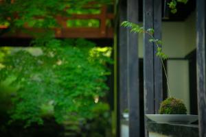 a plant sitting on a window sill next to a plant at Yumoto Ueyama Ryokan in Himeji
