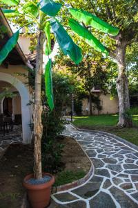 Zahrada ubytování Platamon village house
