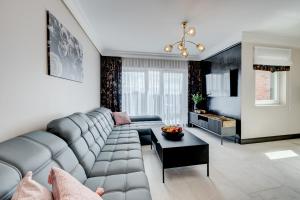 Posezení v ubytování APARTAMENTY Z TARASEM NA DACHU NA WYDMACH W MIĘDZYWODZIU