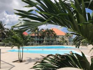 a resort swimming pool with palm trees in the foreground at Welcome to Baie Orientale plage - 4 personnes - max 6 personnes in Orient Bay