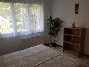 Postel nebo postele na pokoji v ubytování Apartmán Lenka