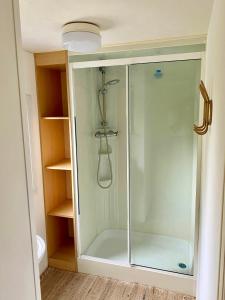 a shower with a glass door in a bathroom at Het Hoefje in Sint Annaland