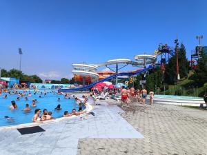 um grupo de pessoas em uma piscina em um parque aquático em Apartman ELENA em Jagodina