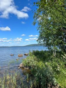 uma vista para um lago com uma árvore e rochas em Camp Caroli 2.0 em Jukkasjärvi